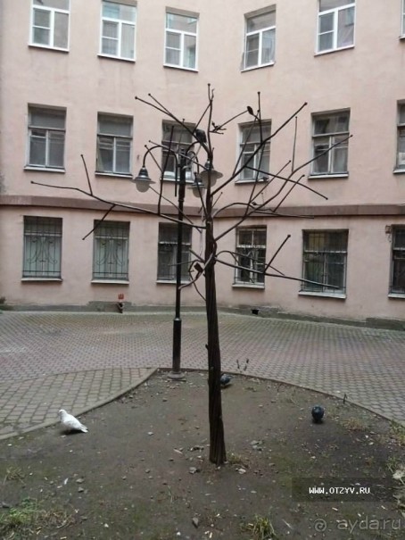 Императорские сады России в Санкт-Петербурге. Цветочная столица.