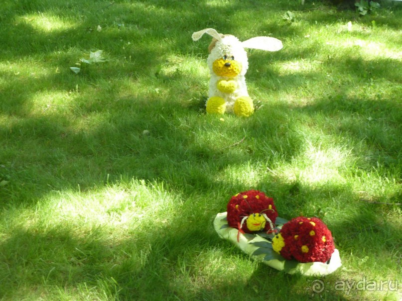 Императорские сады России в Санкт-Петербурге. Цветочная столица.