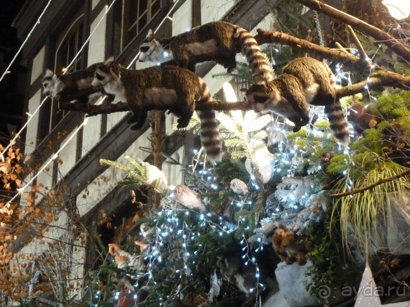 Рождественский Страсбург.Взрыв мозга и несколько моих лайфхаков.