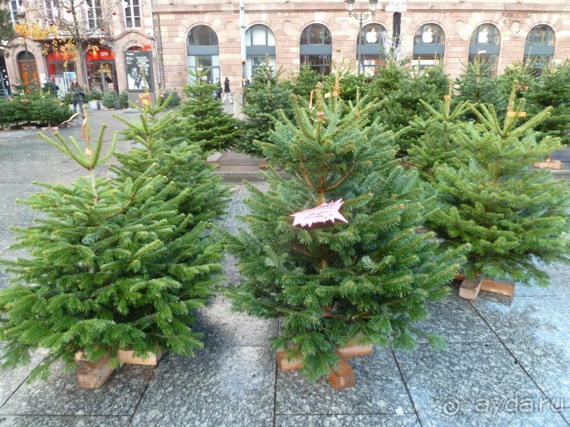 Рождественский Страсбург.Взрыв мозга и несколько моих лайфхаков.