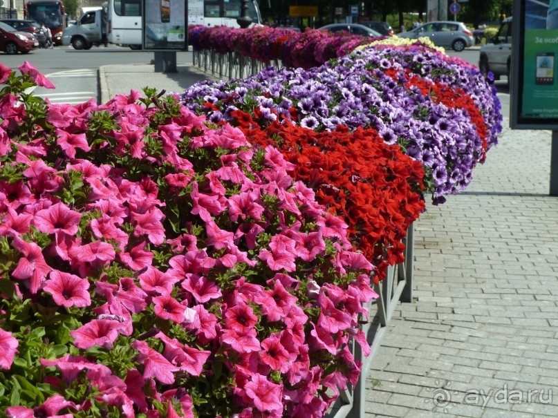 Петропавловская крепость - что посмотреть летом.