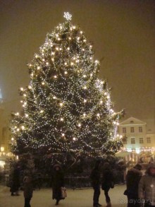 Рождество в Таллине. Романтично и легко.