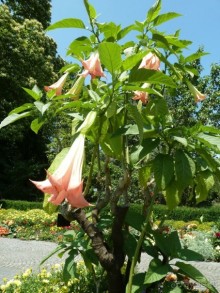 Интересные места вокруг Боденского озера.