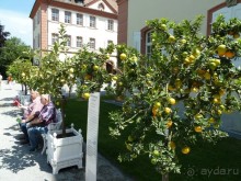 Интересные места вокруг Боденского озера.