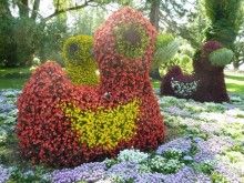 Интересные места вокруг Боденского озера.