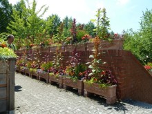 Интересные места вокруг Боденского озера.