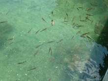 Интересные места вокруг Боденского озера.