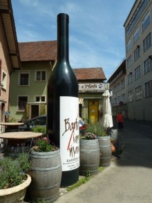 Интересные места вокруг Боденского озера.