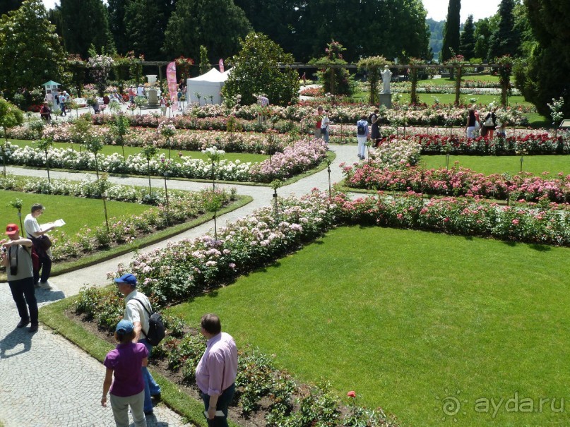 Интересные места вокруг Боденского озера.