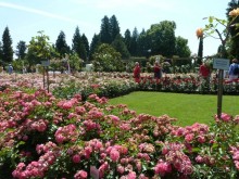 Интересные места вокруг Боденского озера.