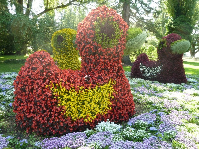 Интересные места вокруг Боденского озера.