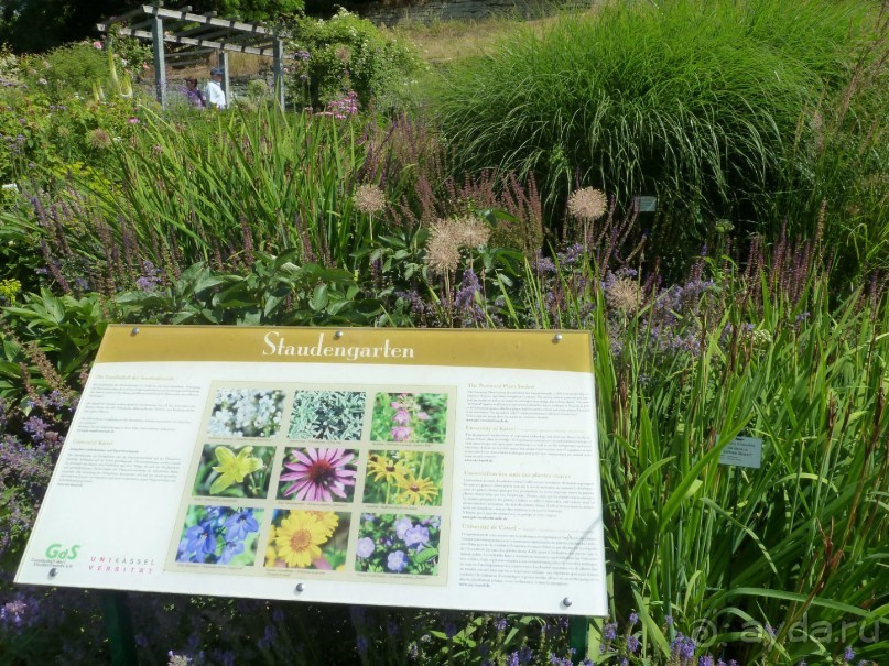 Интересные места вокруг Боденского озера.