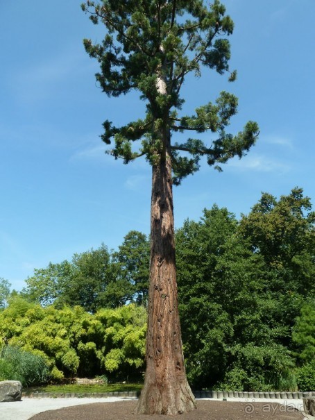 Интересные места вокруг Боденского озера.