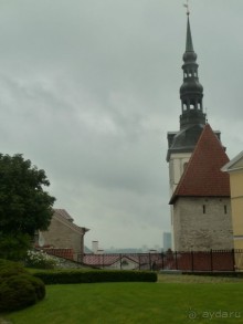 Прогулки по Старому/Новому Таллину и окрестностям.