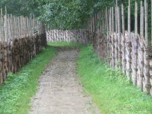 Прогулки по Старому/Новому Таллину и окрестностям.