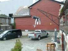 Прогулки по Старому/Новому Таллину и окрестностям.