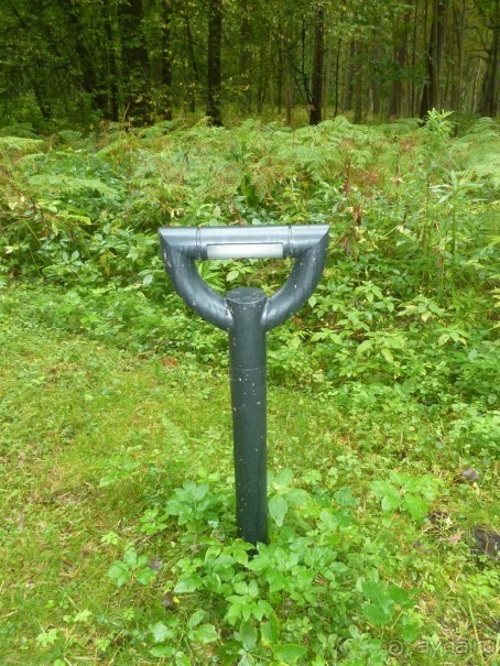 Прогулки по Старому/Новому Таллину и окрестностям.