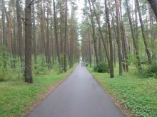 Прогулки по Старому/Новому Таллину и окрестностям.