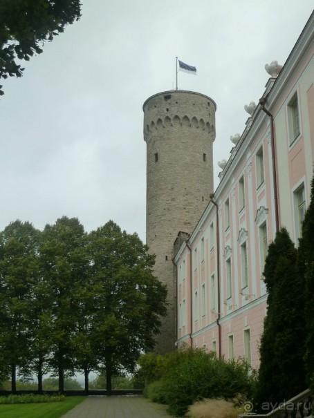 Прогулки по Старому/Новому Таллину и окрестностям.