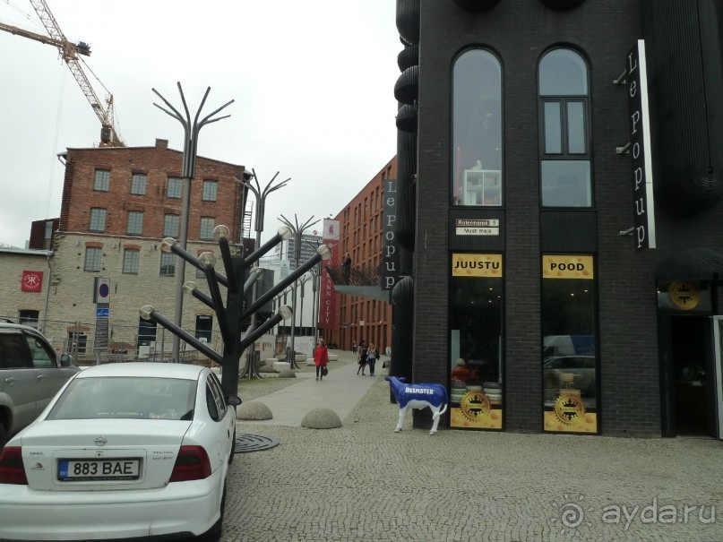 Прогулки по Старому/Новому Таллину и окрестностям.