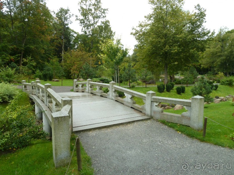 Прогулки по Старому/Новому Таллину и окрестностям.