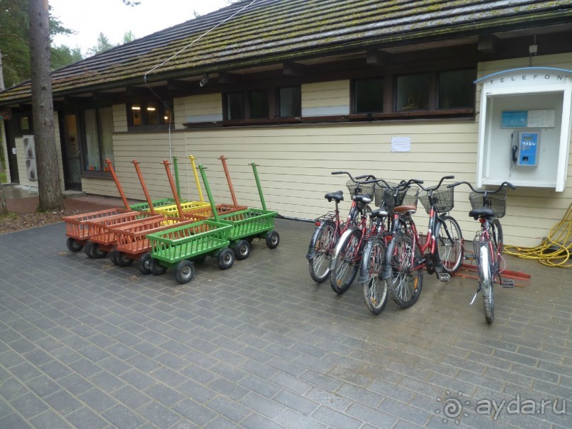 Прогулки по Старому/Новому Таллину и окрестностям.