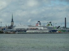 Прогулки по Старому/Новому Таллину и окрестностям.