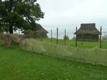 Прогулки по Старому/Новому Таллину и окрестностям.