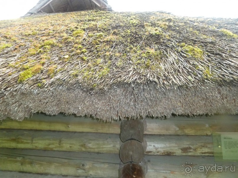 Прогулки по Старому/Новому Таллину и окрестностям.