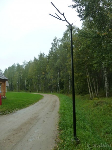 Прогулки по Старому/Новому Таллину и окрестностям.