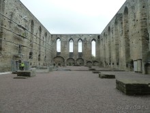 Прогулки по Старому/Новому Таллину и окрестностям.