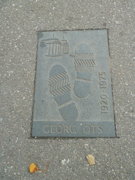 Прогулки по Старому/Новому Таллину и окрестностям.