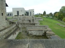 Прогулки по Старому/Новому Таллину и окрестностям.