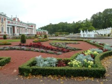 Прогулки по Старому/Новому Таллину и окрестностям.