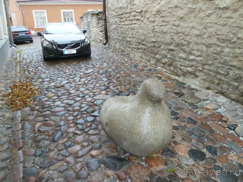 Прогулки по Старому/Новому Таллину и окрестностям.