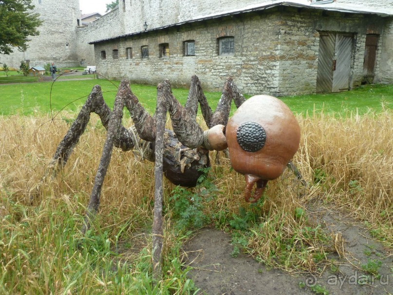 Прогулки по Старому/Новому Таллину и окрестностям.