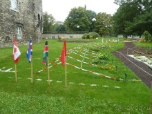 Прогулки по Старому/Новому Таллину и окрестностям.