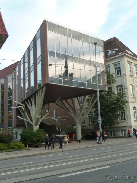 Прогулки по Старому/Новому Таллину и окрестностям.