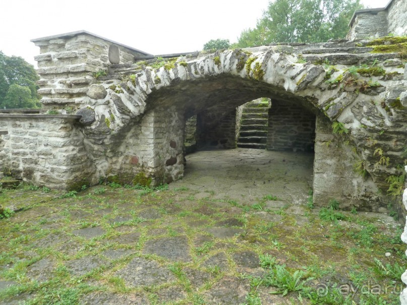 Прогулки по Старому/Новому Таллину и окрестностям.