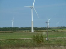 Альбом отзыва "Прогулки по Старому/Новому Таллину и окрестностям."