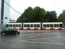 Прогулки по Старому/Новому Таллину и окрестностям.