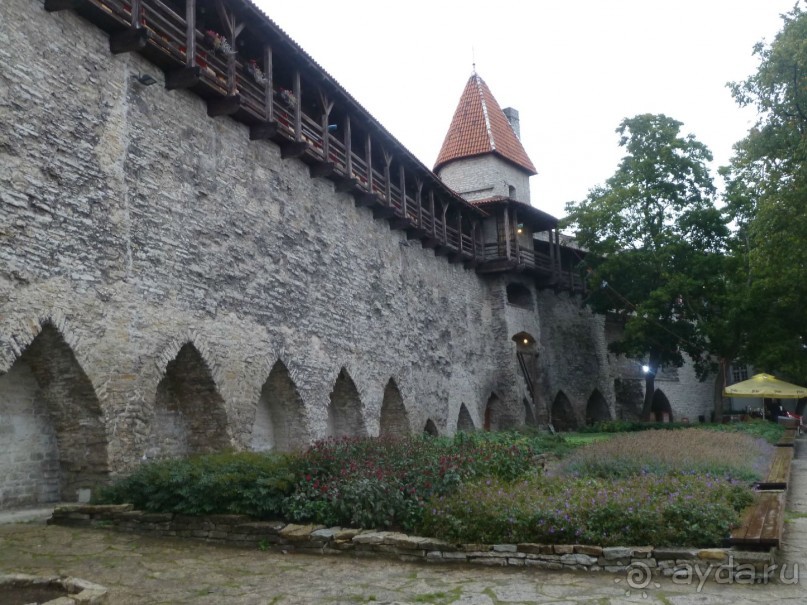 Прогулки по Старому/Новому Таллину и окрестностям.