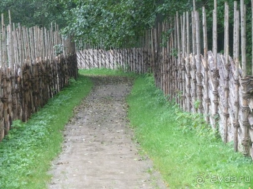 Прогулки по Старому/Новому Таллину и окрестностям.