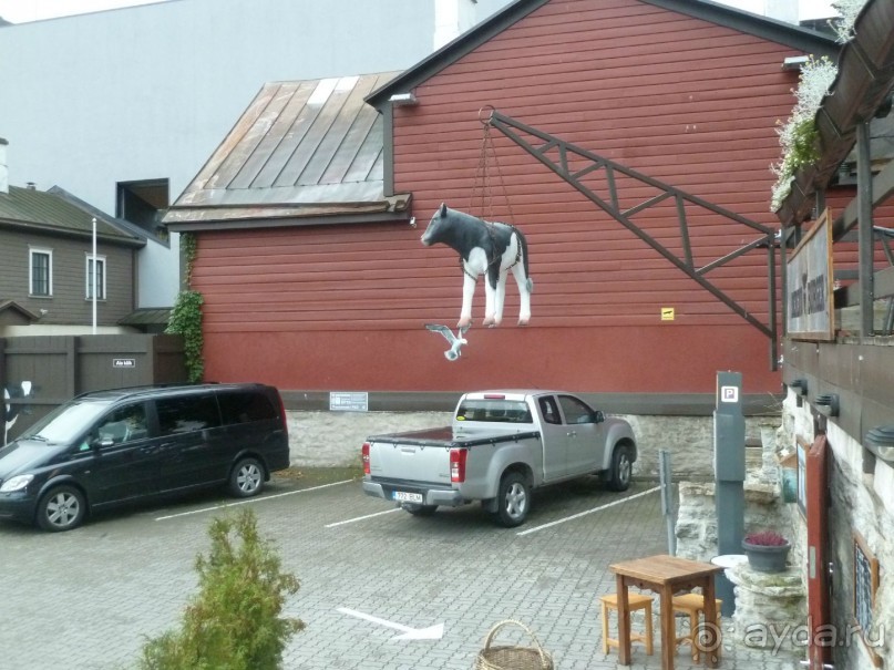 Прогулки по Старому/Новому Таллину и окрестностям.