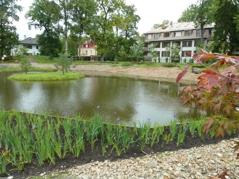 Прогулки по Старому/Новому Таллину и окрестностям.