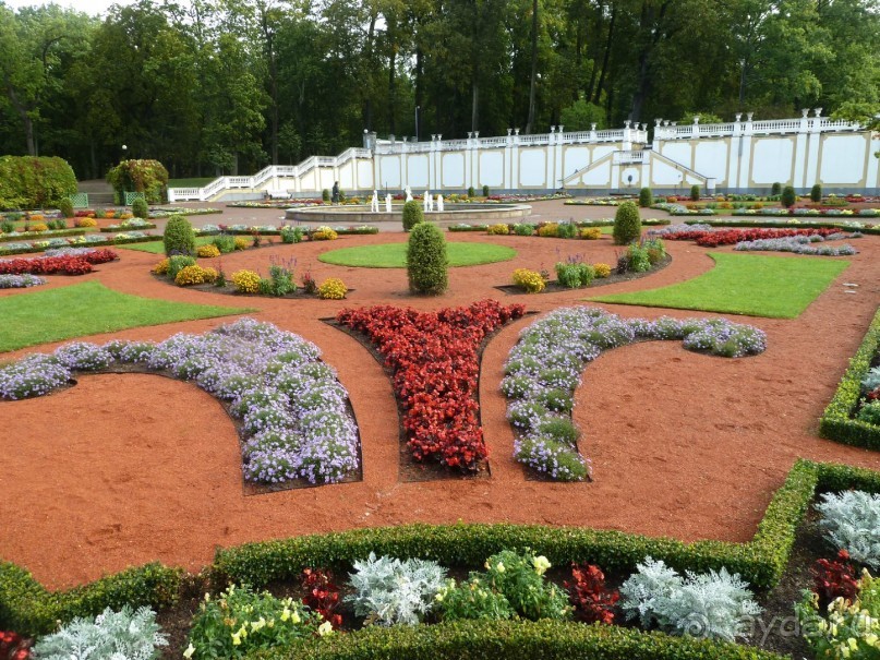 Прогулки по Старому/Новому Таллину и окрестностям.