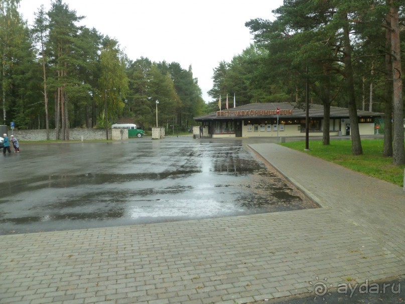 Прогулки по Старому/Новому Таллину и окрестностям.