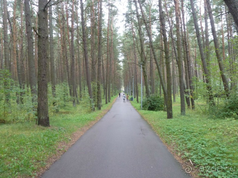 Прогулки по Старому/Новому Таллину и окрестностям.