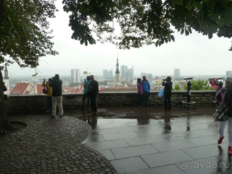 Прогулки по Старому/Новому Таллину и окрестностям.