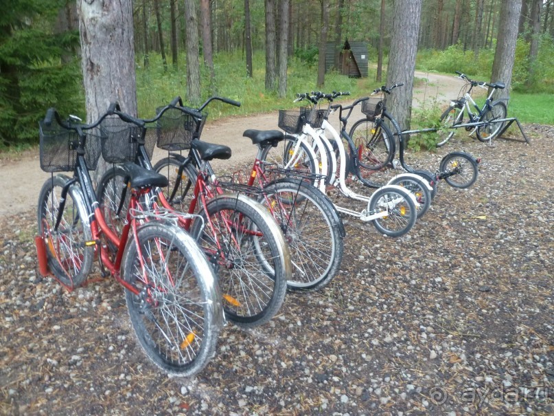 Прогулки по Старому/Новому Таллину и окрестностям.